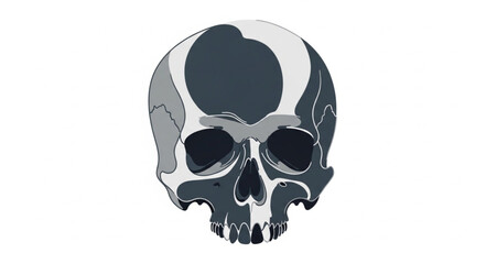 Human Skull Close Up View. © Mbeji