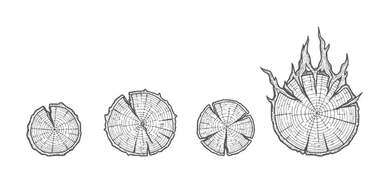 Four wood grain cross sections showing growth rings and one burning