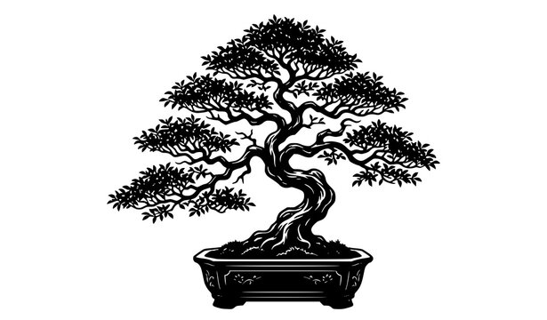 Bonsai Silhouette" Images  Browse 865 Stock Photos, Vectors, and Video |  Adobe Stock