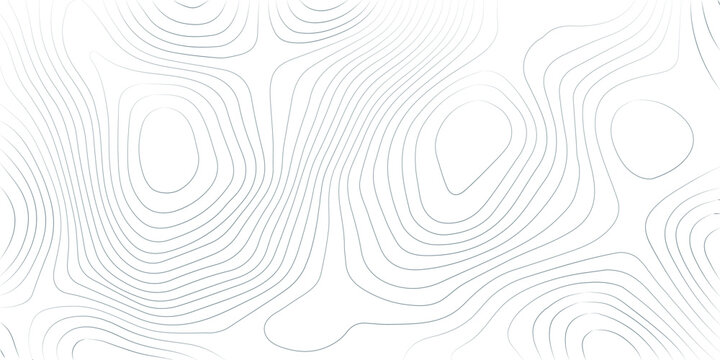 Topography background. Vector banner. Topography map background. Vector geographic contour map. Background of the topographic map. Topographic map lines, contour background.