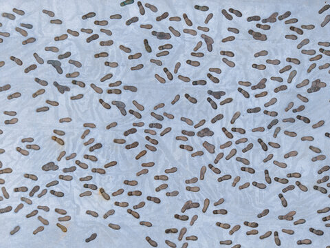 Aerial view of Freedom Square showing numerous footprints scattered across the textured surface of the fountain floor in Bratislava I, Bratislavsky kraj, Slovakia.