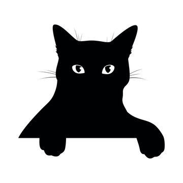 Cat peeking out with a curious expression in a simple black vector design