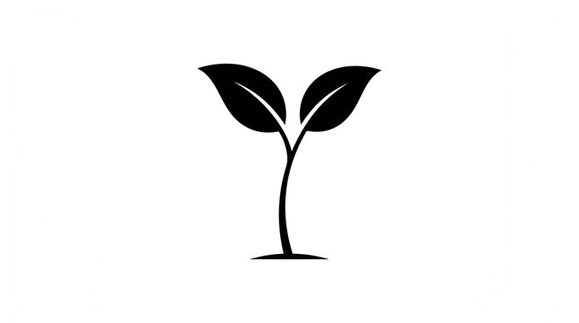 Minimalist black plant icon on transparent background, line art style