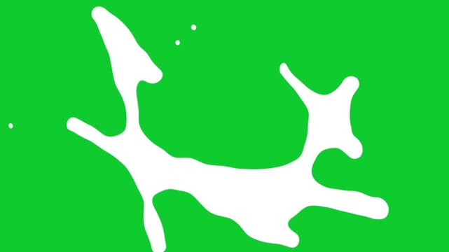 Dynamic white fluid splash and morphing shape animation on chroma key green screen background