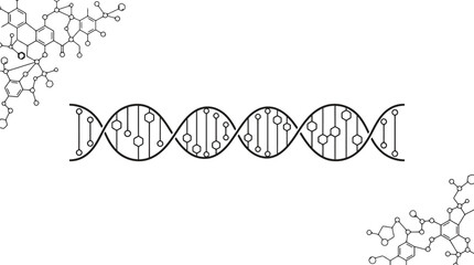 Fototapeta premium Scientific DNA double helix vector, molecular structure diagram on white background, biotechnology and genetic research illustration, medical science icon