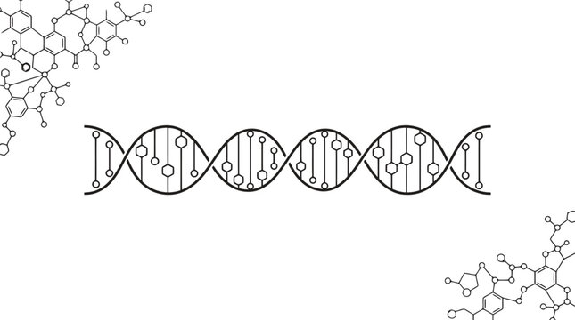 Scientific DNA double helix vector, molecular structure diagram on white background, biotechnology and genetic research illustration, medical science icon