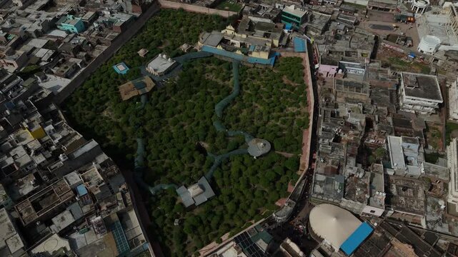 High-Angle Drone shot of the mystical Nidhivan forest and temple complex , Vrindavan