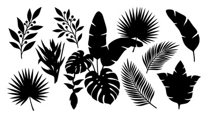 Decorative leaves vector illustration green botanical collection isolated on white © MdMiraz
