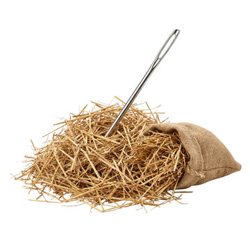 Needle in a Haystack - Searching for something specific and rare.