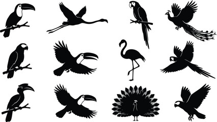 Obraz premium Tropical bird silhouette icons set featuring toucan, flamingo, parrot, peacock, hornbill, and exotic wildlife illustrations for nature design