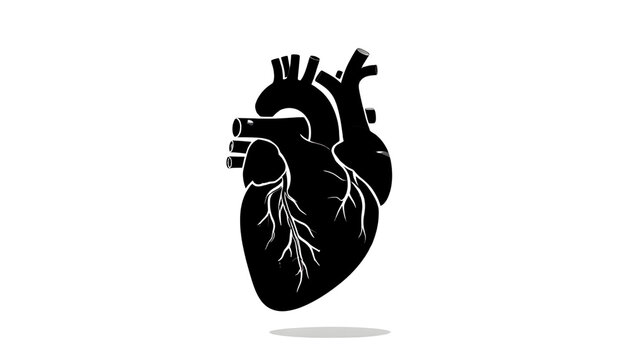 Stylized Black Anatomical Human Heart Silhouette on transparent background