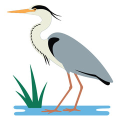 Naklejka premium heron on the beach