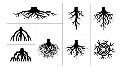 Diverse Tree Root Systems Vector Icons, Organic Growth Patterns, Natural Structure Elements, Botanical Foundation Concepts © Abirul
