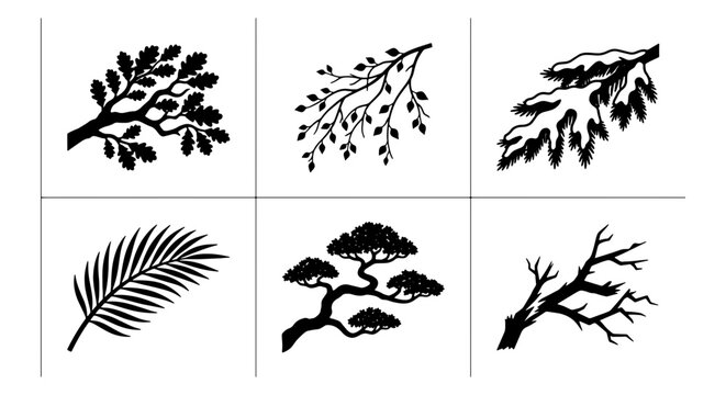Vector Botanical Elements: Oak Leaf Branches, Pine Tree Silhouette, Palm Frond, Twigs, Nature Icons for Design