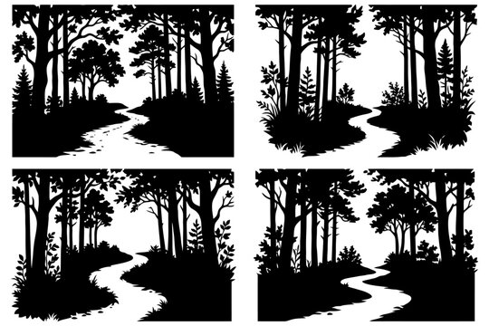 Silhouette forest pathways with tall trees and curved trails.
