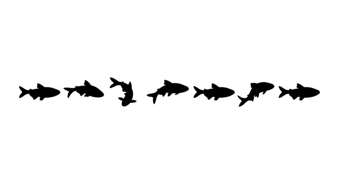 Fish Silhouette Animation Sequence, Aquatic Life Motion Graphics, Underwater Creature Movement Vector Art