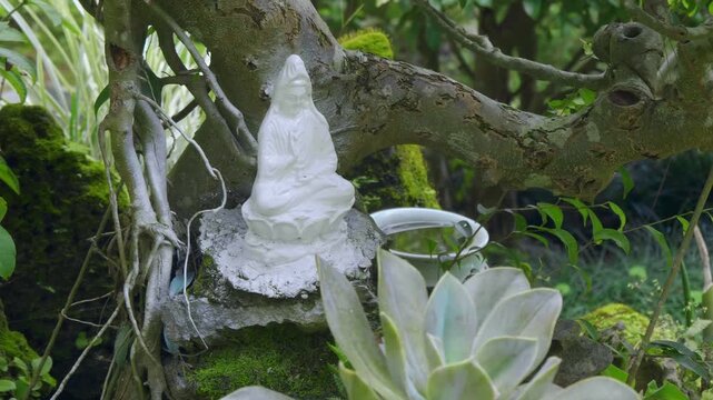 A small white statue of Bodhisattva Guan Yin or Avalokiteshvara became a part of an ancient bonsai resting on its intertwined roots in the tropical garden of Truc Lam Zen the largest Buddhist monaster