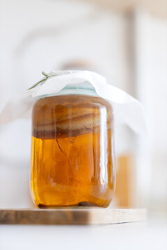 Homemade kombucha jar with visible scoby and amber liquid for kitchen background and beverage label design