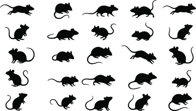  Large collection of black rat and mouse silhouettes in different poses isolated on white background for pest control branding