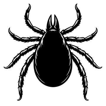 tick illustration