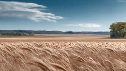 Fototapeta premium Wide open field with tall grass swaying in the wind under a clear blue sky, peaceful and serene landscape with space for an overlay quote