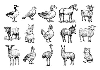 Obraz premium Farm animals collection featuring horse cow sheep and birds in vintage engraving style