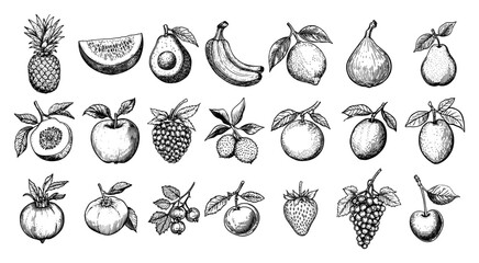 Tropical and garden fruits collection with berries in vintage engraving style © Kaz