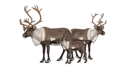 Reindeer Family Portrait: Majestic Stag, Doe, and Calf on White Background © elsa