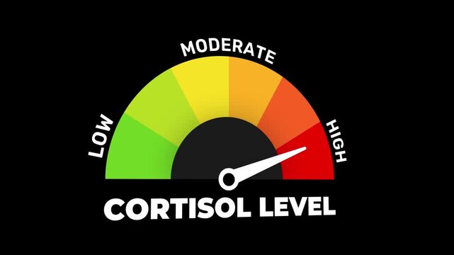Cortisol Level Gauge Animation Stress Hormone Medical Meter Indicator