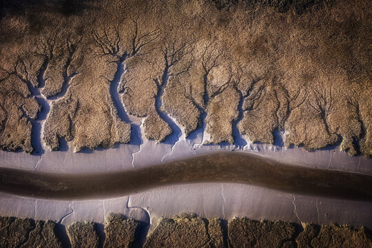 Aerial view of intricate dendritic drainage patterns in a salt marsh with a winding water channel and textured mudflats Portmarnock, County Dublin, Ireland.
