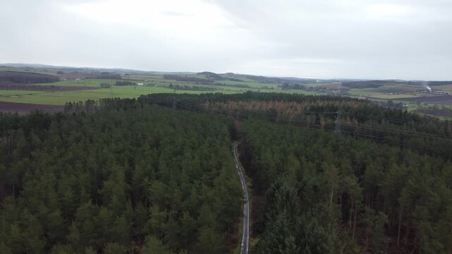 aerial drone shot of commercial plantation community woodland transformation project conifer woodland spruce pine treetops cloudy day powerlines pylons infrastructure