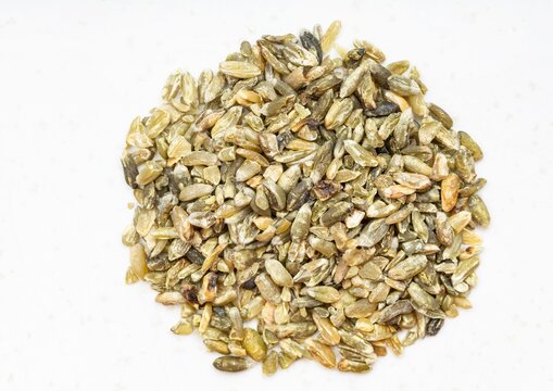 cumin seeds isolated on white background