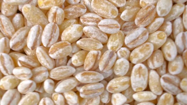 Extreme macro close-up of raw pearl barley grains texture showing detailed surface and organic forms