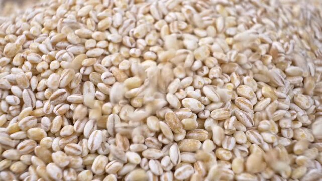 Macro shot of raw pearl barley grains falling onto a heap