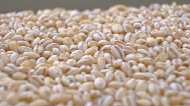 Macro tracking shot of raw pearl barley grains forming a textured pile close up