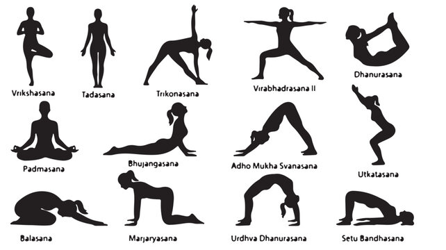 Yoga poses silhouette collection, 14 female asana icons with Sanskrit labels, black vector fitness exercise set for wellness and meditation infographics
