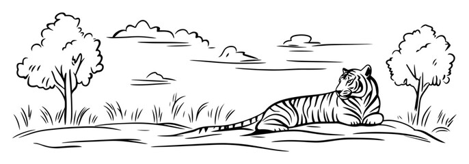 tiger resting in nature hand drawn vector illustration © Mago
