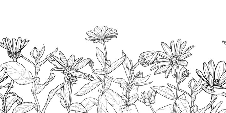 Spring flowers and twigs with leaves, seamless horizontal border. Vector illustration. The sketch of summer meadow flowers is hand-drawn, isolated on a white background
