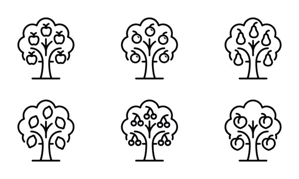 Set of 6 Fruit Tree Icons, Vector Graphics: Apple, Pear, Lemon, Cherry, Peach Varieties, Simple Outline Style for Organic Food and Nature Concepts