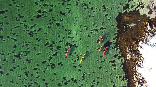 Top down aerial drone view of a group kayaking in the crystal clear turquoise waters of a fjord in Lofoten Islands, Norway. Active travel and outdoor adventure in the Arctic