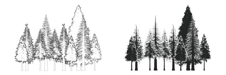 Architectural CAD tree elevation set with detailed line drawings and solid silhouette forest elements, side view vegetation for landscape and urban planning design, separate vector elements © AssetBud
