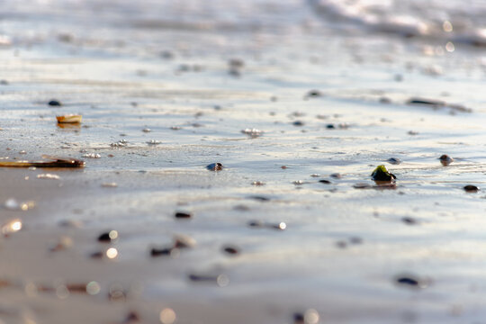 Bright sky reflection on wet beach sand dotted with small seashells and pebbles.