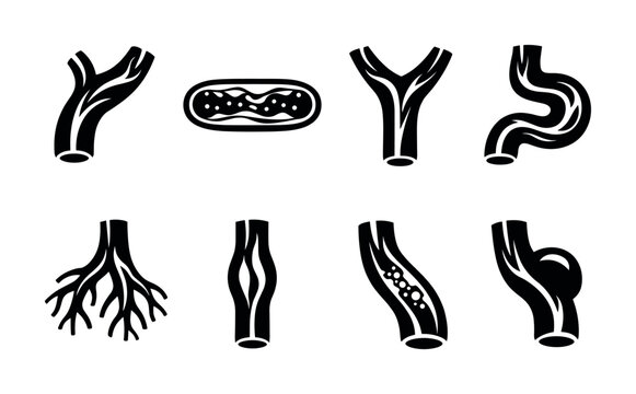 Set of stylized icons representing different blood vessels and circulatory system elements