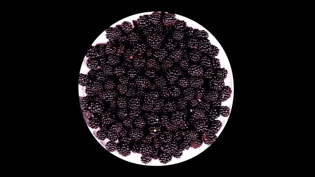 Top view of a large pile of fresh ripe blackberries arranged in a circular shape on a white plate