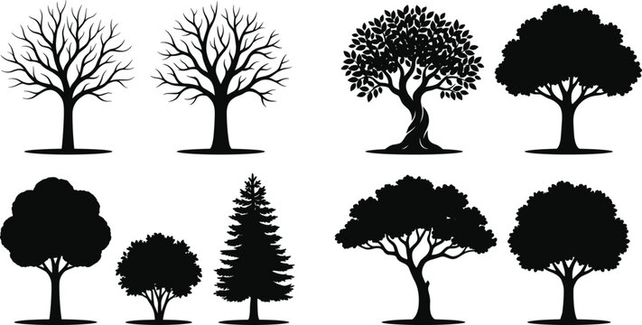 Collection of Tree Silhouette Vector Icons Featuring Leafless Deciduous and Evergreen Trees for Nature Landscape Design