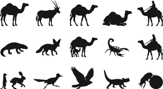 Black silhouettes of desert animals and mythical creatures, including camels, birds, and reptiles animal silhouettes