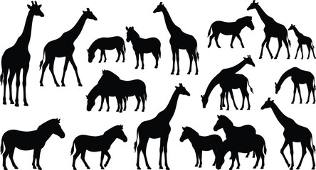 Black silhouettes of giraffes and horses, various poses, on white background © Graphic Shops