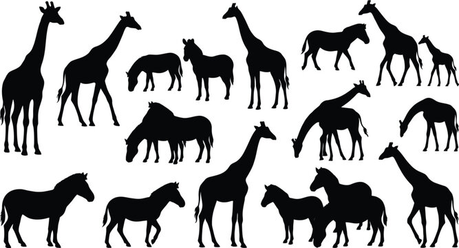 Black silhouettes of giraffes and horses, various poses, on white background
