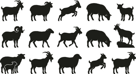 Fototapeta premium Black silhouettes of goats and sheep in various poses, standing and walking white background