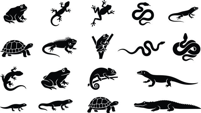 Black silhouettes of reptiles and amphibians, including frogs, lizards, snakes, and turtles